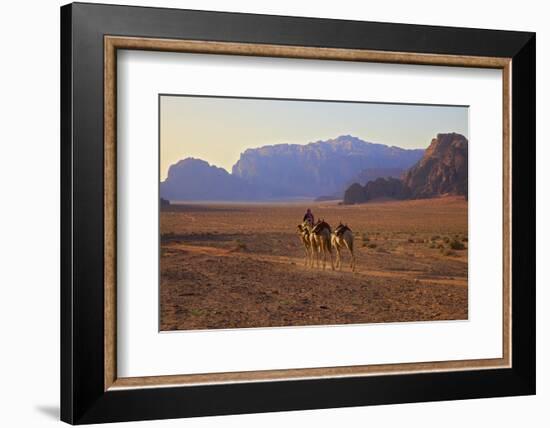 Bedouin with Camels, Wadi Rum, Jordan, Middle East-Neil Farrin-Framed Photographic Print