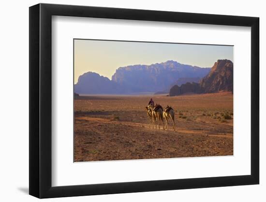 Bedouin with Camels, Wadi Rum, Jordan, Middle East-Neil Farrin-Framed Photographic Print