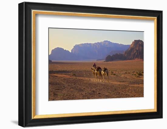 Bedouin with Camels, Wadi Rum, Jordan, Middle East-Neil Farrin-Framed Photographic Print