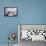 Bedroom Cat-Zhen-Huan Lu-Framed Premier Image Canvas displayed on a wall