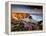 Bedruthan Steps on Cornish Coast, with Flowering Thrift, Cornwall, UK-Ross Hoddinott-Framed Premier Image Canvas