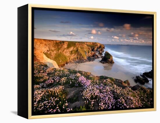 Bedruthan Steps on Cornish Coast, with Flowering Thrift, Cornwall, UK-Ross Hoddinott-Framed Premier Image Canvas