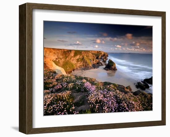 Bedruthan Steps on Cornish Coast, with Flowering Thrift, Cornwall, UK-Ross Hoddinott-Framed Photographic Print