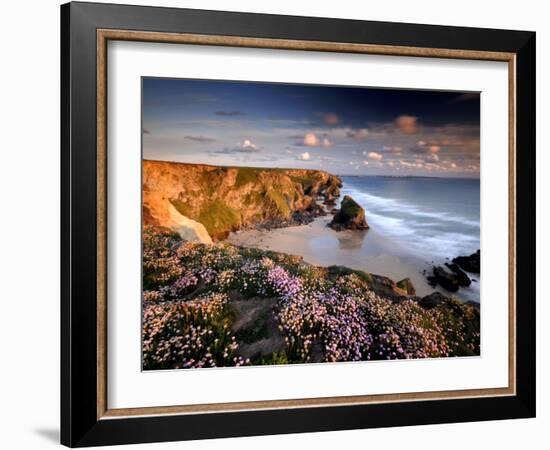 Bedruthan Steps on Cornish Coast, with Flowering Thrift, Cornwall, UK-Ross Hoddinott-Framed Photographic Print