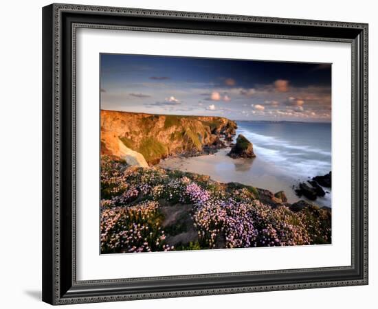 Bedruthan Steps on Cornish Coast, with Flowering Thrift, Cornwall, UK-Ross Hoddinott-Framed Photographic Print