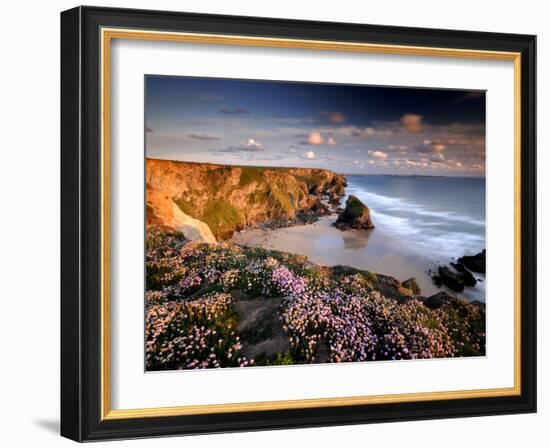 Bedruthan Steps on Cornish Coast, with Flowering Thrift, Cornwall, UK-Ross Hoddinott-Framed Photographic Print