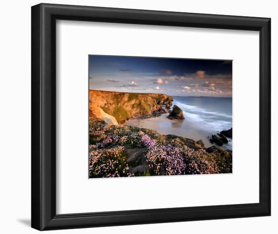 Bedruthan Steps on Cornish Coast, with Flowering Thrift, Cornwall, UK-Ross Hoddinott-Framed Photographic Print