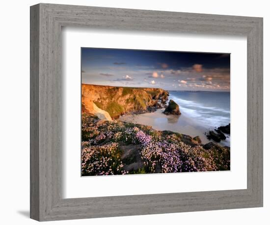 Bedruthan Steps on Cornish Coast, with Flowering Thrift, Cornwall, UK-Ross Hoddinott-Framed Photographic Print