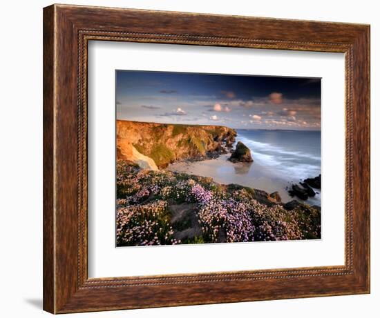 Bedruthan Steps on Cornish Coast, with Flowering Thrift, Cornwall, UK-Ross Hoddinott-Framed Photographic Print