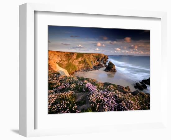 Bedruthan Steps on Cornish Coast, with Flowering Thrift, Cornwall, UK-Ross Hoddinott-Framed Photographic Print
