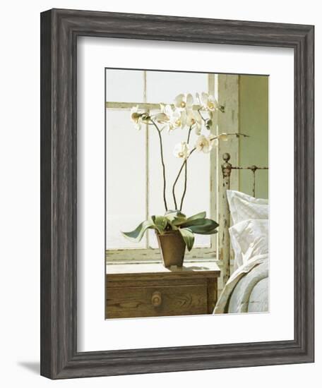 Bedside Orchid-Zhen-Huan Lu-Framed Giclee Print