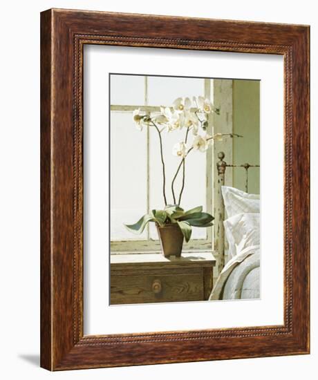 Bedside Orchid-Zhen-Huan Lu-Framed Giclee Print