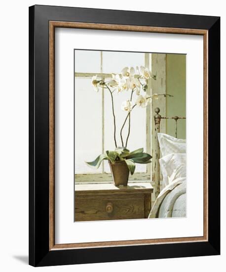 Bedside Orchid-Zhen-Huan Lu-Framed Giclee Print