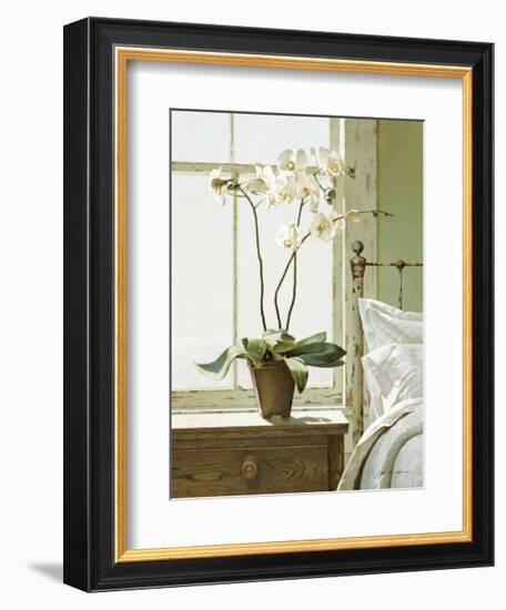 Bedside Orchid-Zhen-Huan Lu-Framed Giclee Print