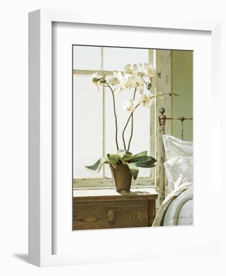 Bedside Orchid-Zhen-Huan Lu-Framed Giclee Print