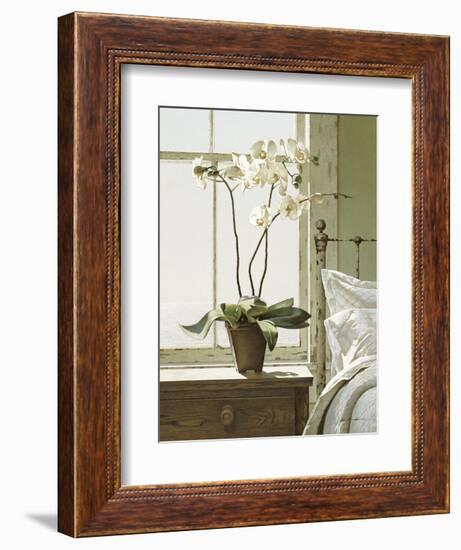 Bedside Orchid-Zhen-Huan Lu-Framed Art Print