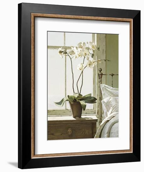 Bedside Orchid-Zhen-Huan Lu-Framed Art Print