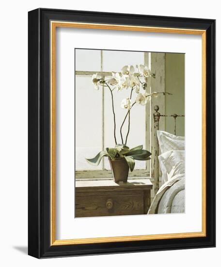 Bedside Orchid-Zhen-Huan Lu-Framed Art Print