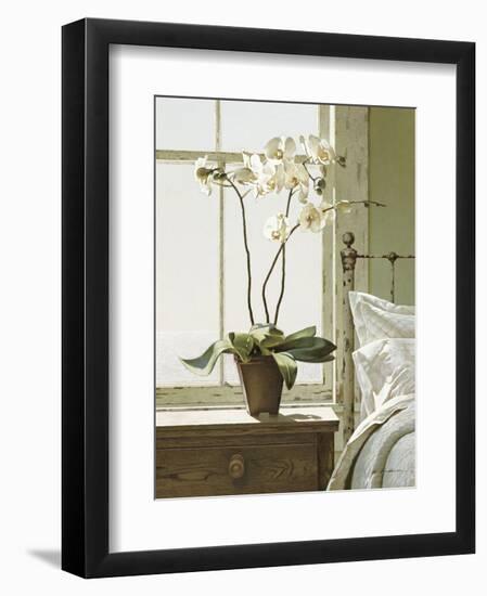 Bedside Orchid-Zhen-Huan Lu-Framed Art Print