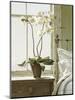 Bedside Orchid-Zhen-Huan Lu-Mounted Art Print