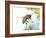 Bee Anatomy, Artwork-Jose Antonio-Framed Photographic Print