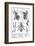 Bee Anatomy, Historical Artwork-Science Photo Library-Framed Photographic Print