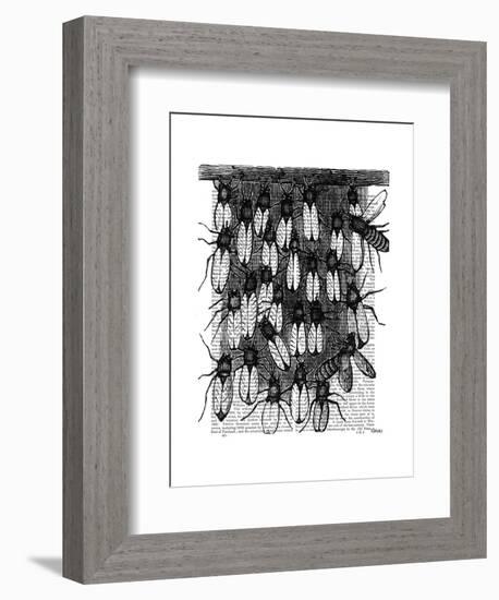 Bee and Honeycomb Print-Fab Funky-Framed Art Print