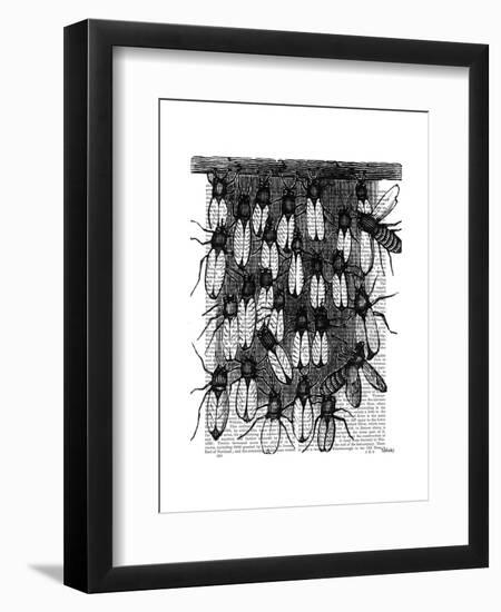 Bee and Honeycomb Print-Fab Funky-Framed Art Print