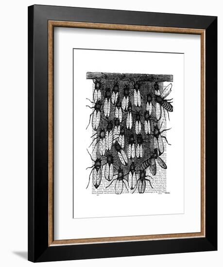 Bee and Honeycomb Print-Fab Funky-Framed Art Print