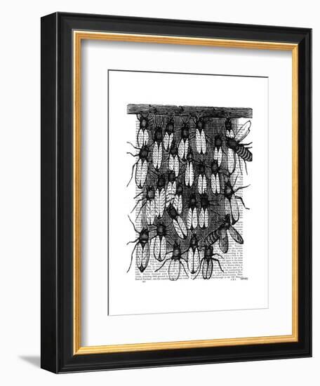 Bee and Honeycomb Print-Fab Funky-Framed Art Print