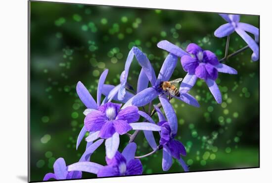 Bee and Purple Flowers-Don Spears-Mounted Art Print