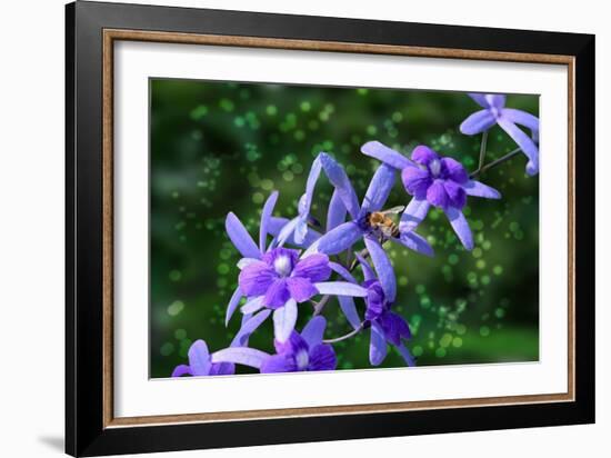 Bee and Purple Flowers-Don Spears-Framed Art Print