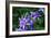 Bee and Purple Flowers-Don Spears-Framed Art Print