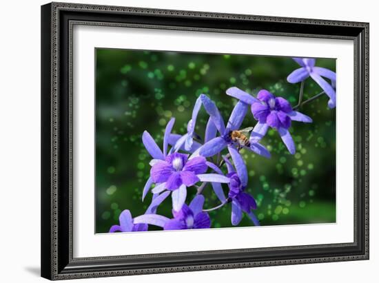 Bee and Purple Flowers-Don Spears-Framed Art Print