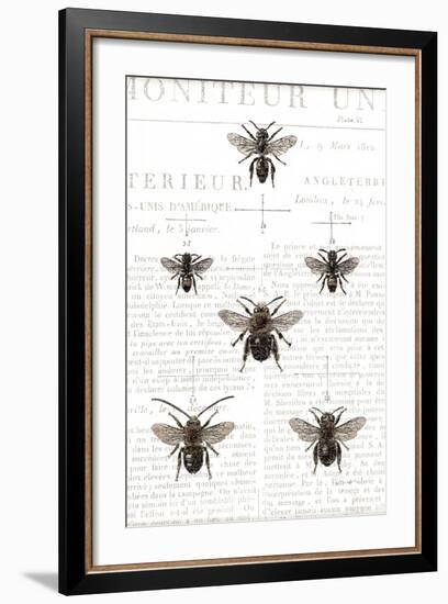 Bee Botanical Gray-Sue Schlabach-Framed Art Print