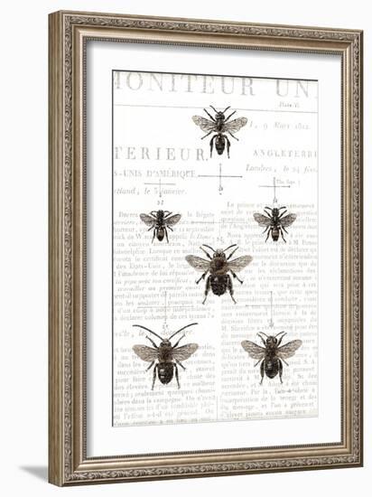 Bee Botanical Gray-Sue Schlabach-Framed Art Print