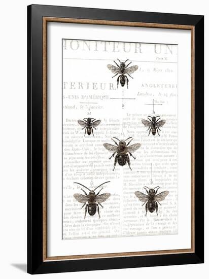 Bee Botanical Gray-Sue Schlabach-Framed Art Print