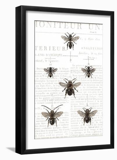 Bee Botanical Gray-Sue Schlabach-Framed Art Print