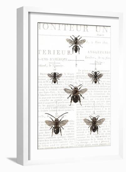 Bee Botanical Gray-Sue Schlabach-Framed Art Print