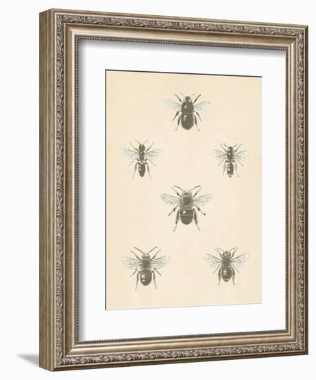 Bee Chart I-Wild Apple Portfolio-Framed Premium Giclee Print