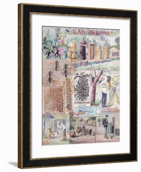 Bee Culture Made in France Intended for Publication in Mexico, C. 1900-null-Framed Giclee Print