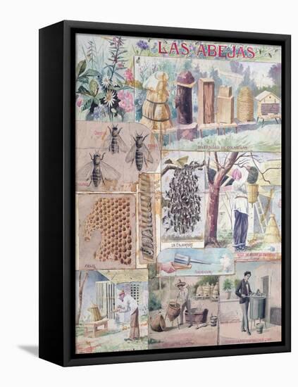 Bee Culture Made in France Intended for Publication in Mexico, C. 1900-null-Framed Premier Image Canvas