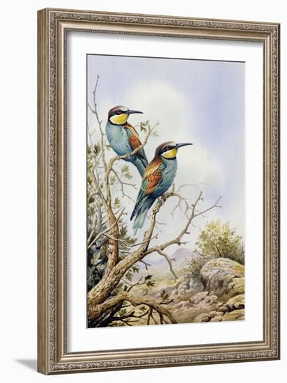 Bee-Eaters-Carl Donner-Framed Giclee Print