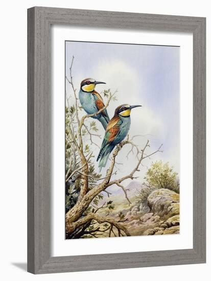 Bee-Eaters-Carl Donner-Framed Giclee Print