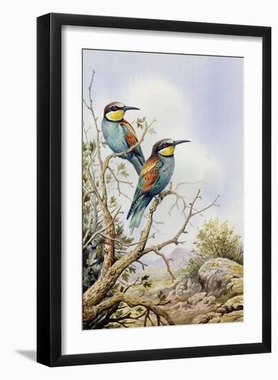 Bee-Eaters-Carl Donner-Framed Giclee Print