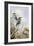 Bee-Eaters-Carl Donner-Framed Giclee Print