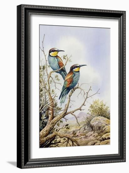 Bee-Eaters-Carl Donner-Framed Giclee Print