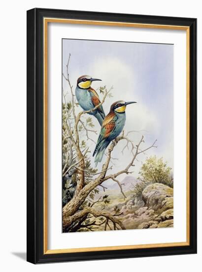 Bee-Eaters-Carl Donner-Framed Giclee Print