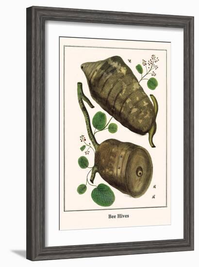 Bee Hives-Albertus Seba-Framed Art Print