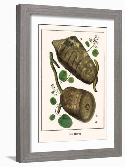 Bee Hives-Albertus Seba-Framed Art Print